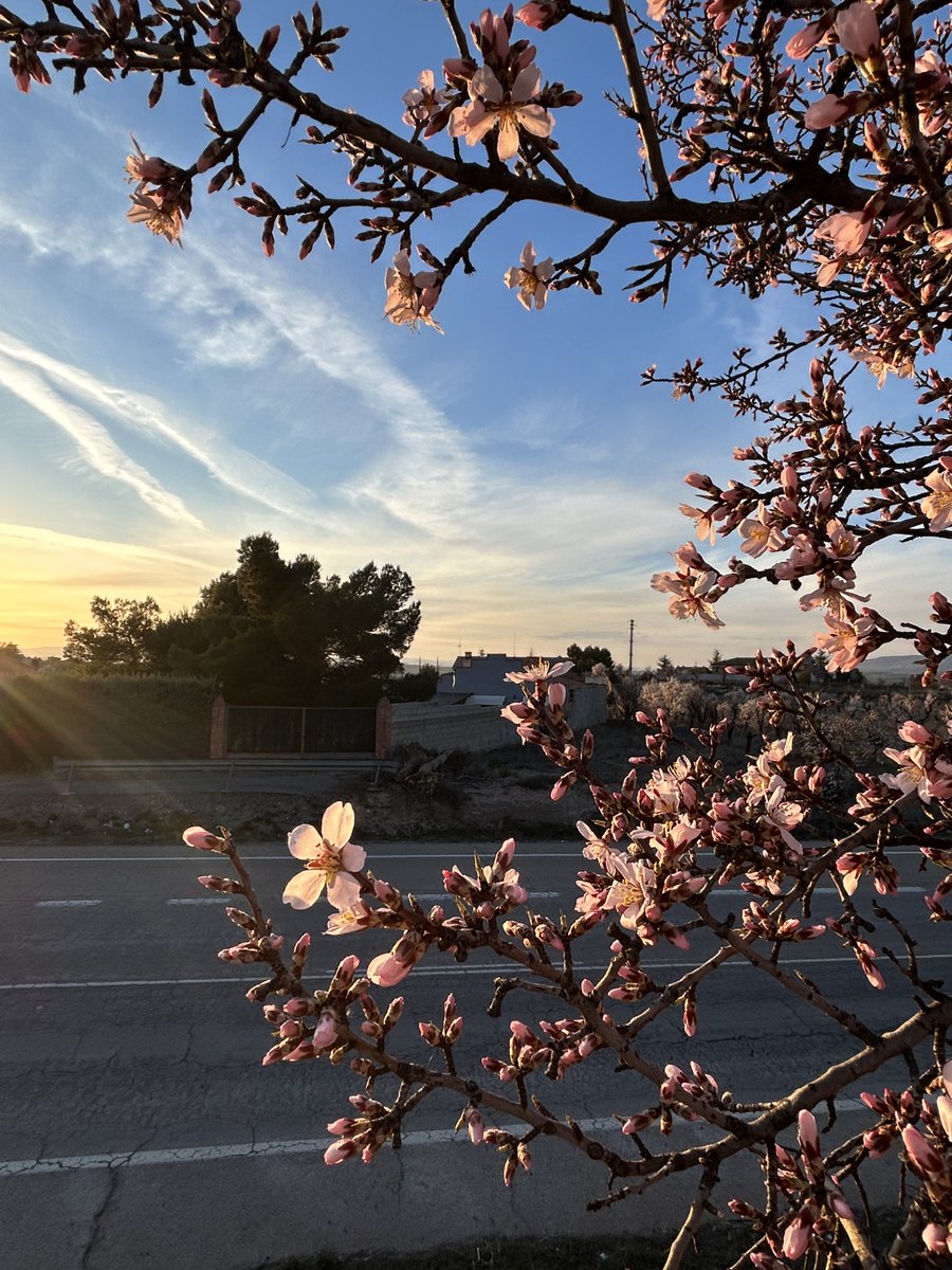 Mari47720641's tweet photo. Ser y estar 🫶🏻🌸 https://t.co/s0qyFgeC02