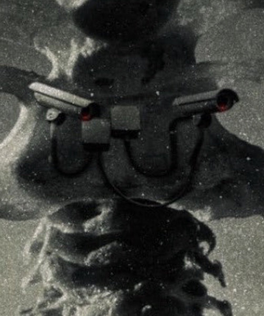 A. L. Crego tweet media