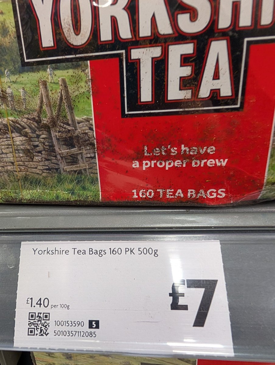 Bendrix 🦁 tweet media