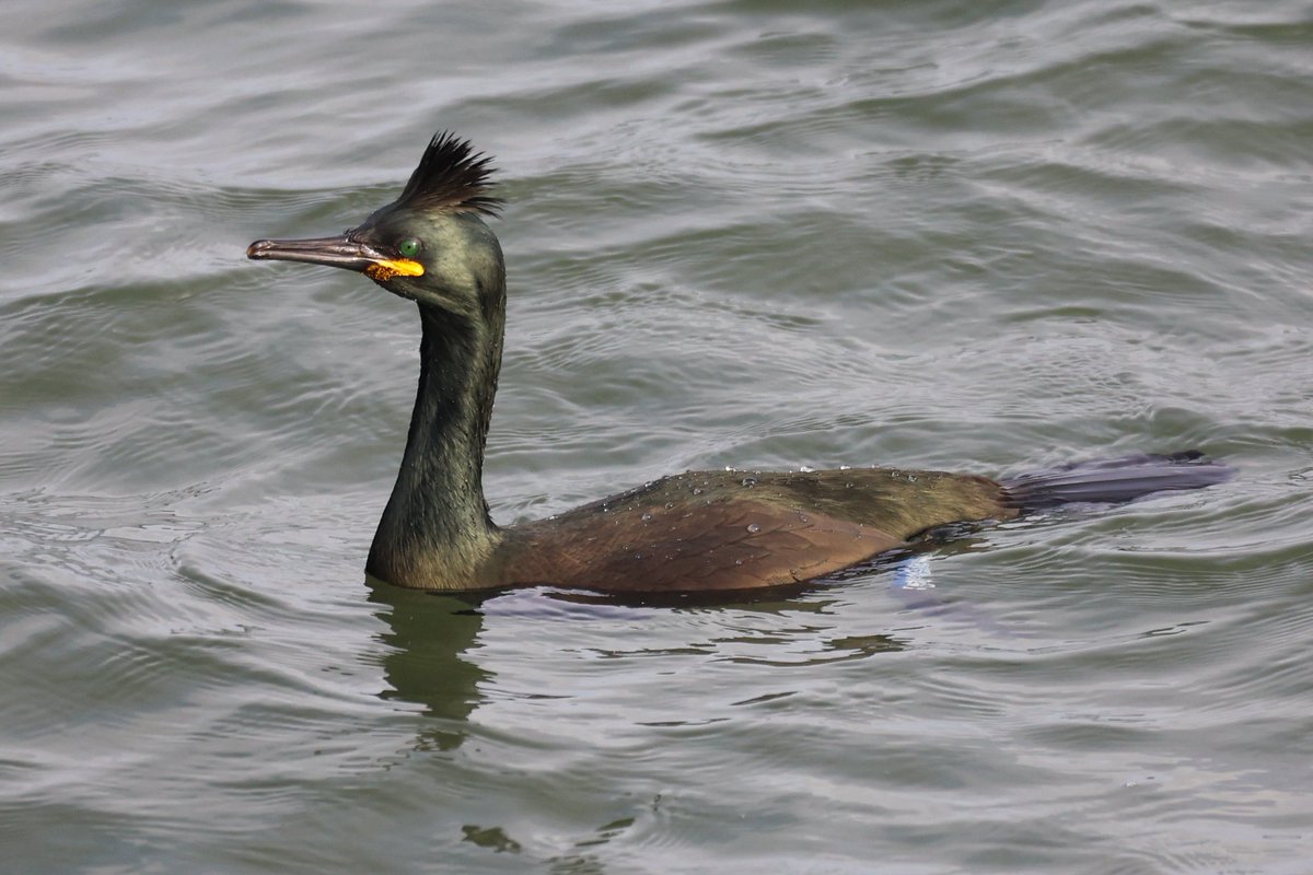 Jamie Sample tweet media