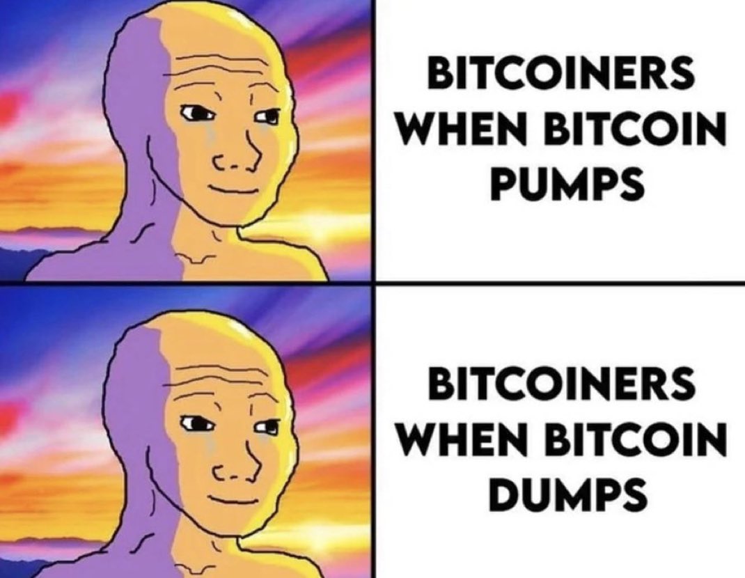 Amilcar btc tweet media
