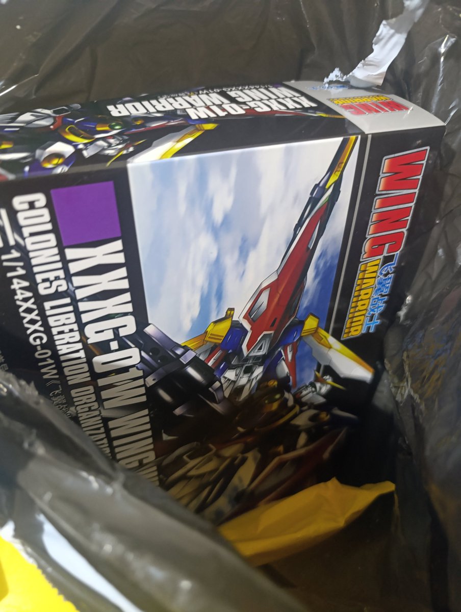 Llegó el primer pedido de Temu  que hicimos en stream.  En el próximo directo, el martes,  le damos un vistazo. Hay sorpresas 😂