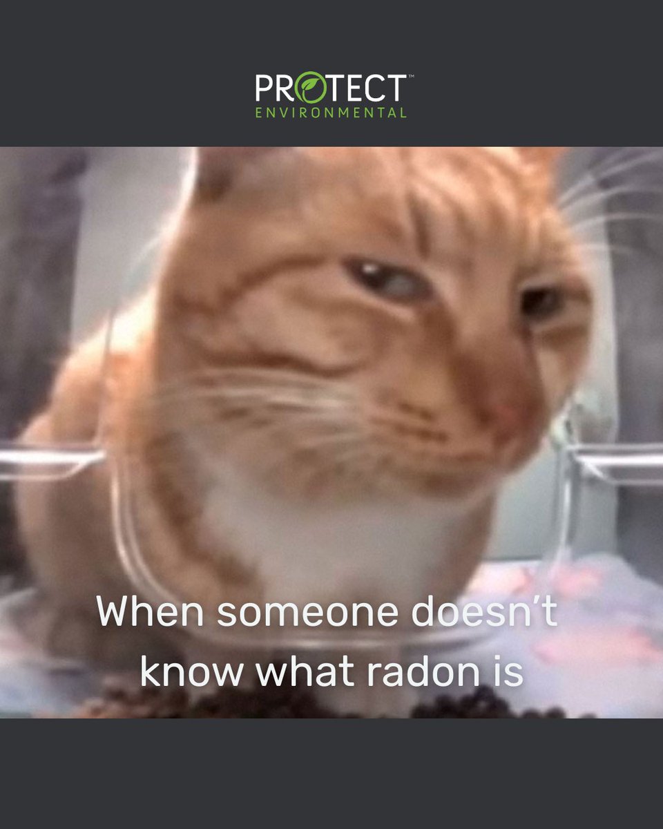 This cat knows something you don’t. 🐱

Radon is a radioactive gas ☢️ that can build up indoors with no smell, taste, or warning. A leading cause of lung cancer in nonsmokers.

🔗 Could it be in your home? Learn more: bit.ly/3zC7tzZ

#RadonAwareness #RadonGas