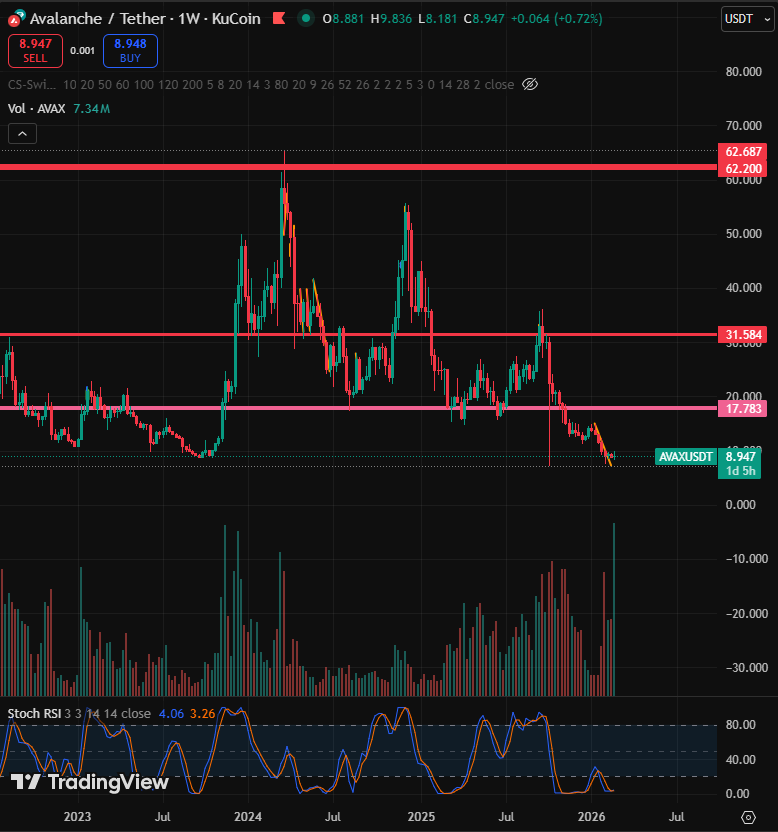 SandmanAvax🔺 tweet media
