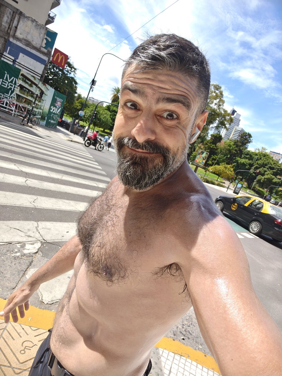 SEK TeddyWolf ® tweet media