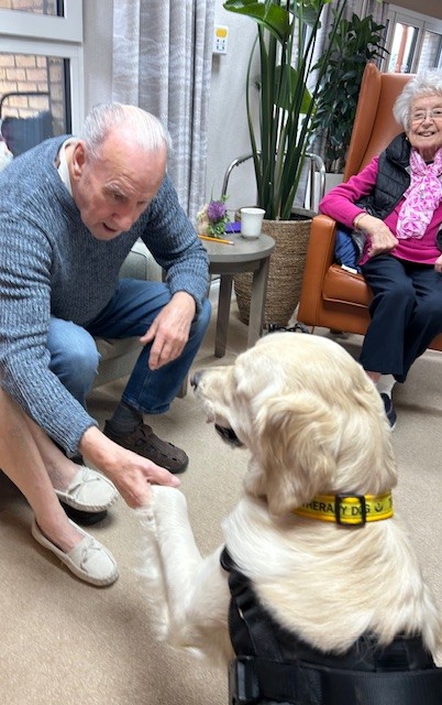 careiscentral's tweet photo. The benefits that therapy Dog Gracie and her handler Nicki bring to our care home are immeasurable!

Nicki has also become a firm favourite visitor with us all as she is so brilliant at bonding with all our residents, answering their many questions and sharing stories https://t.co/bl9ZPuHwQN
