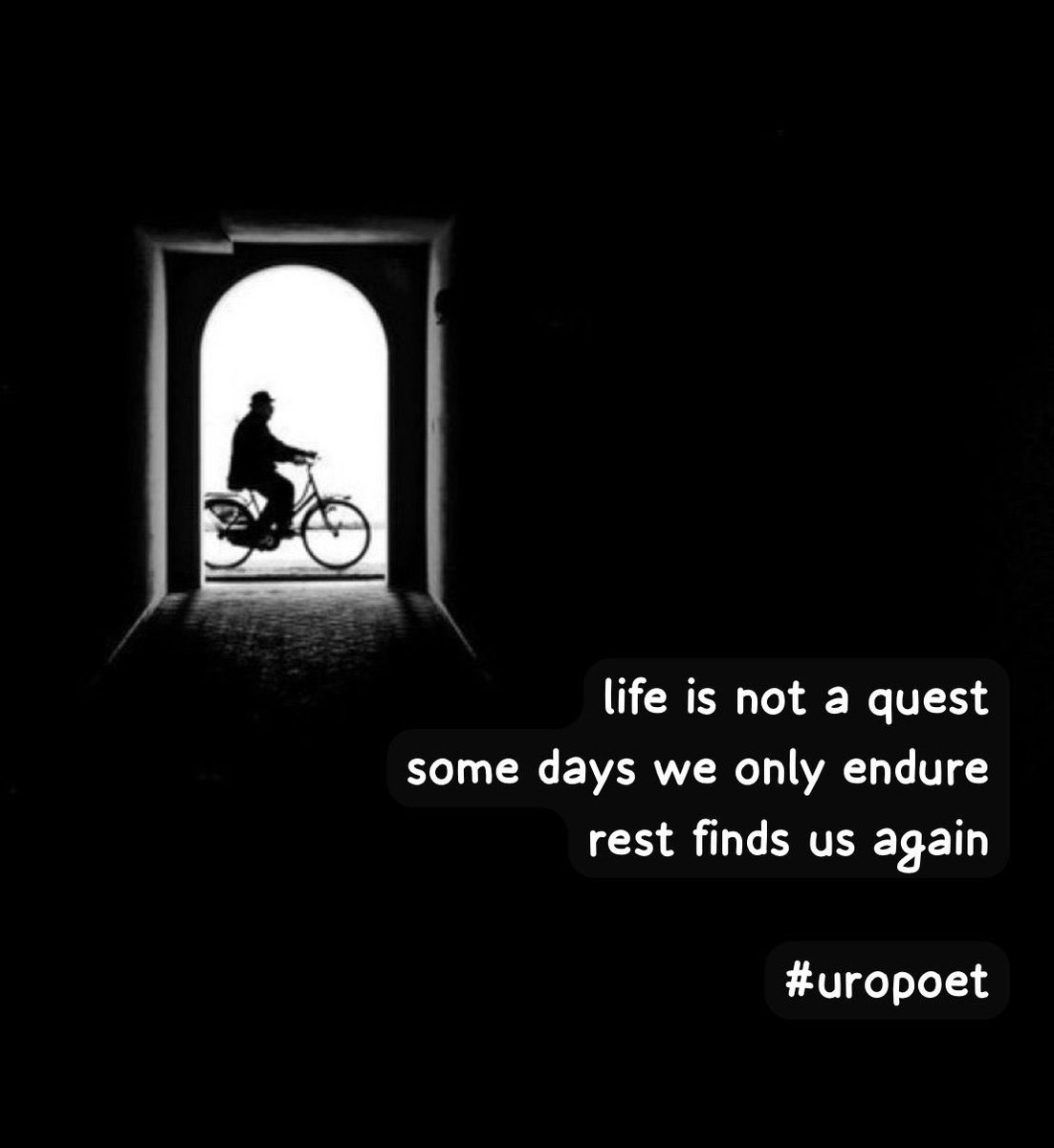 optionurol's tweet image. life is not a quest
some days we only endure
rest finds us again

#haiku #vss365 #quest #uropoet #life 

📸 from X