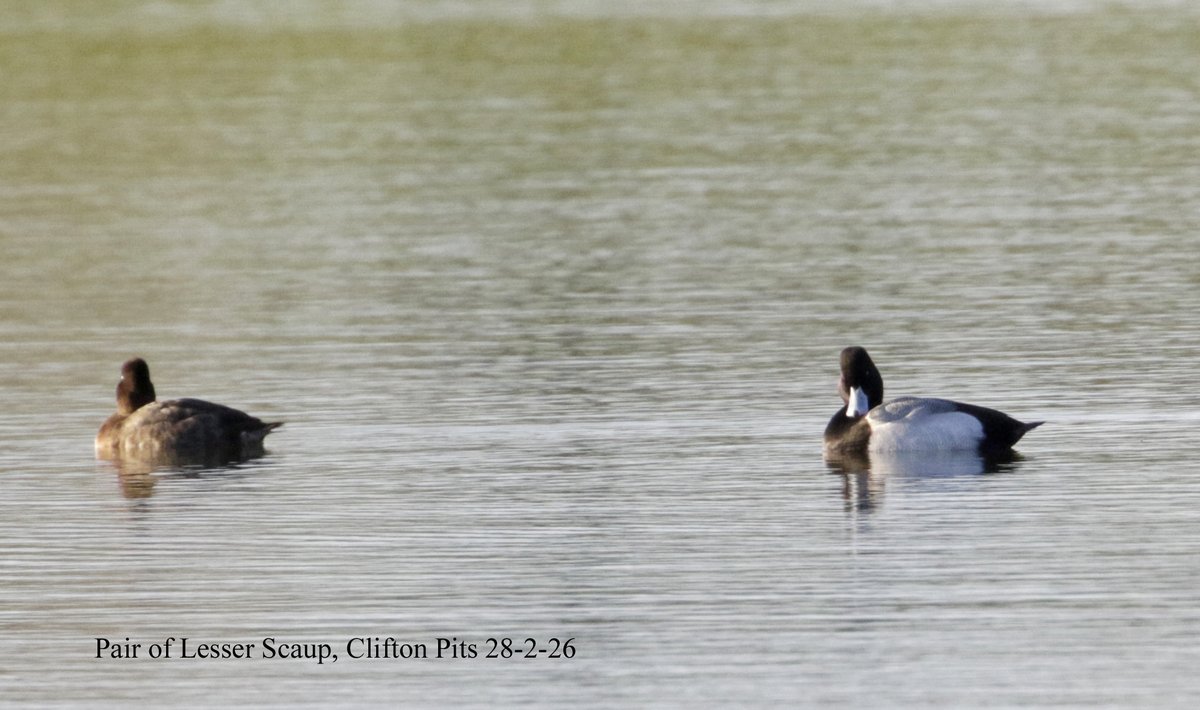 Andy Warr tweet media