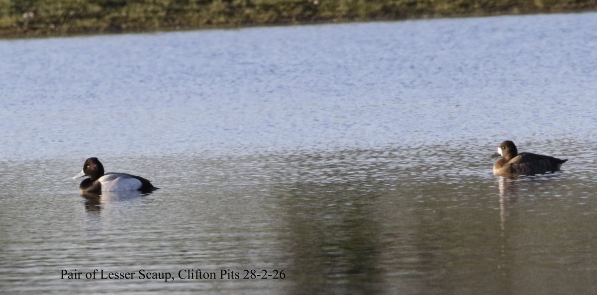 Andy Warr tweet media