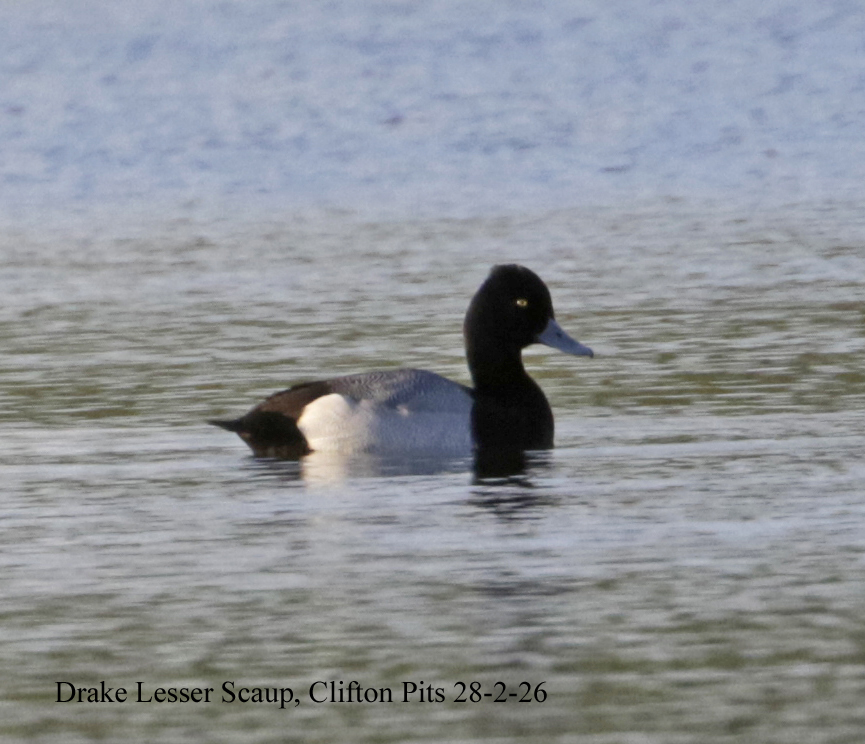 Andy Warr tweet media