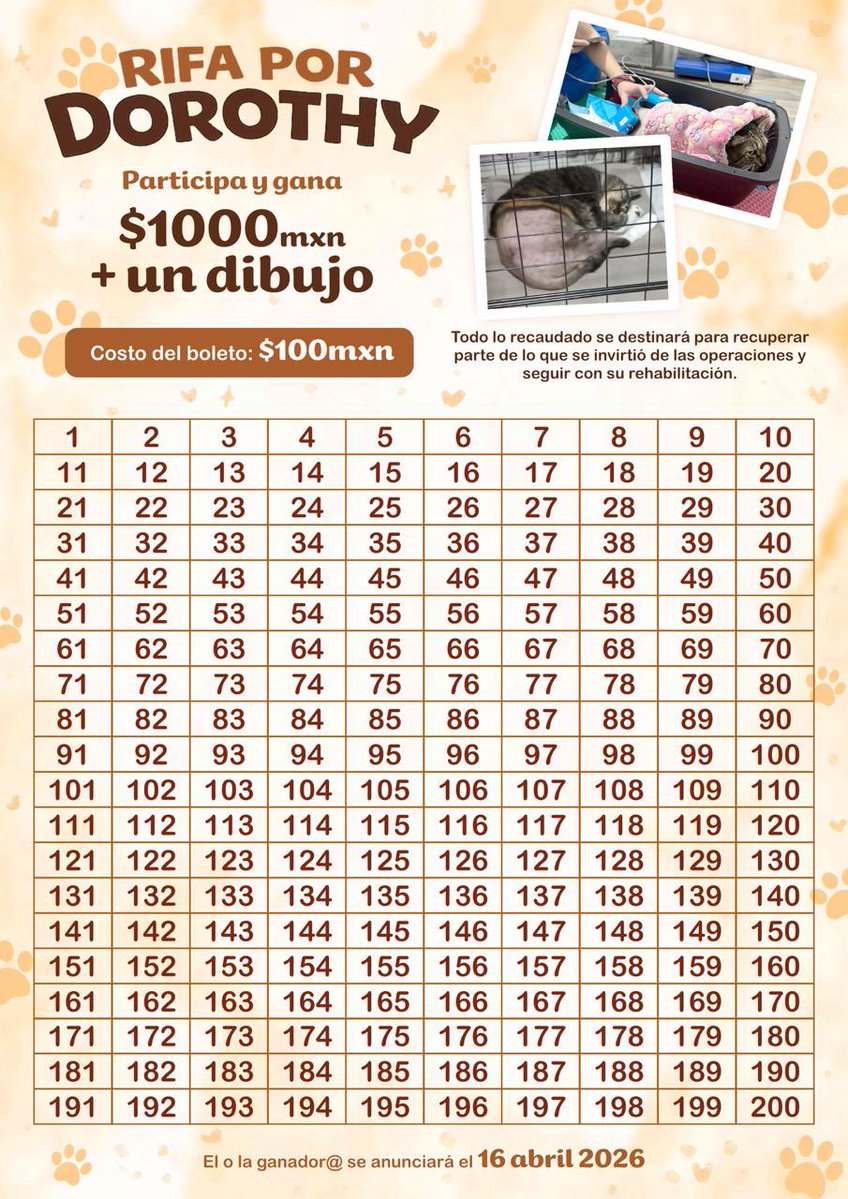 Dan / 談 tweet media