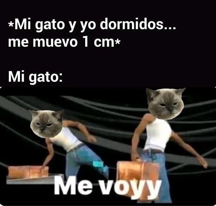 Papita Criolla ☻ (@evelyncarmona) on Twitter photo 