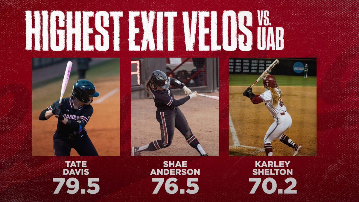 South Carolina Softball tweet media