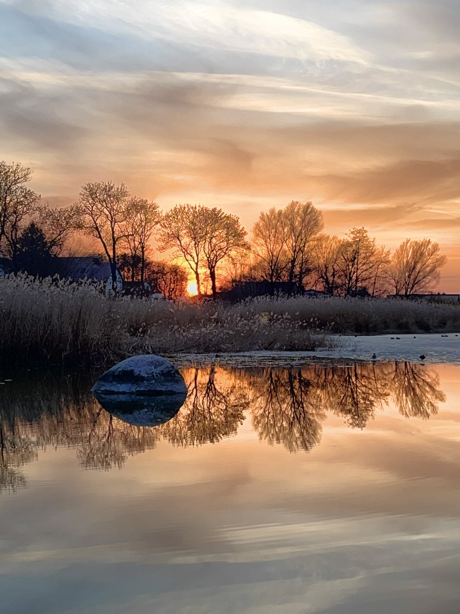 usedomlotse's tweet image. 14 Grad, Sonne und erster Ausritt des Jahres rund ums Achterland, herrlich! 🤩 Aber ich muss uns schelten. Die Kollegin vom Gartencafé in Prätenow sagt, sie hat schon jetzt die ganze Zeit auf, aber es kommen zu wenige Leute.

#usedom #radfahren #mvtutgut #ostsee