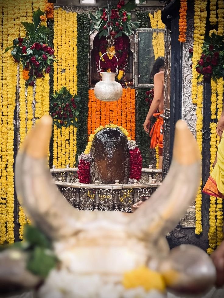 SP_OO_JA_97's tweet photo. One darshan Baba Mahakaleshwar Mahadev countless blessings. https://t.co/YLmLMPJIAQ