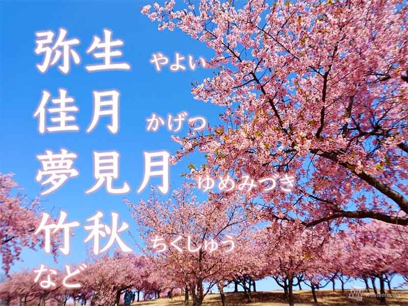 【3月の呼称】
3月の和風月名としてよく知られているのは「弥生」ですが、実はそれ以外にも多くの異称があります。「佳月」「夢見月」「竹秋」など、その名の由来が知りたくなる異称も。作家の山下景子さんに伺いました。
weathernews.jp/news/202602/28…