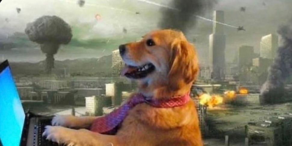 “WW3 just started, lots of missiles has been sent here”

Crypto bro: Shill me the next 100x