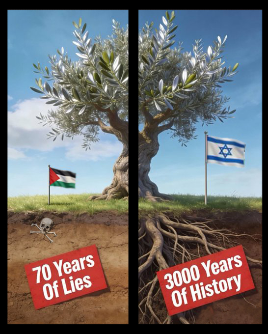 R🌞ger de °L° 🦋 PFM tweet media