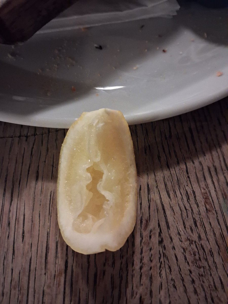 Mel Da Silva is 💫Querying 💫 tweet media