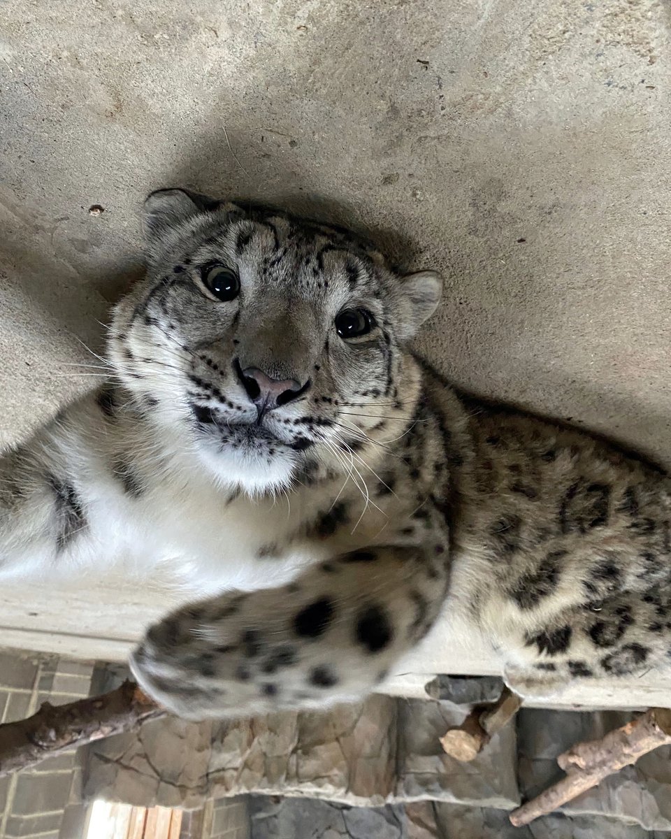 DJ burger 🍔🐯🎵 tweet media