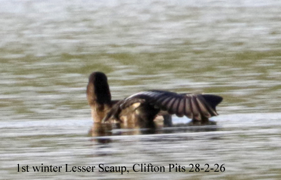 Andy Warr tweet media