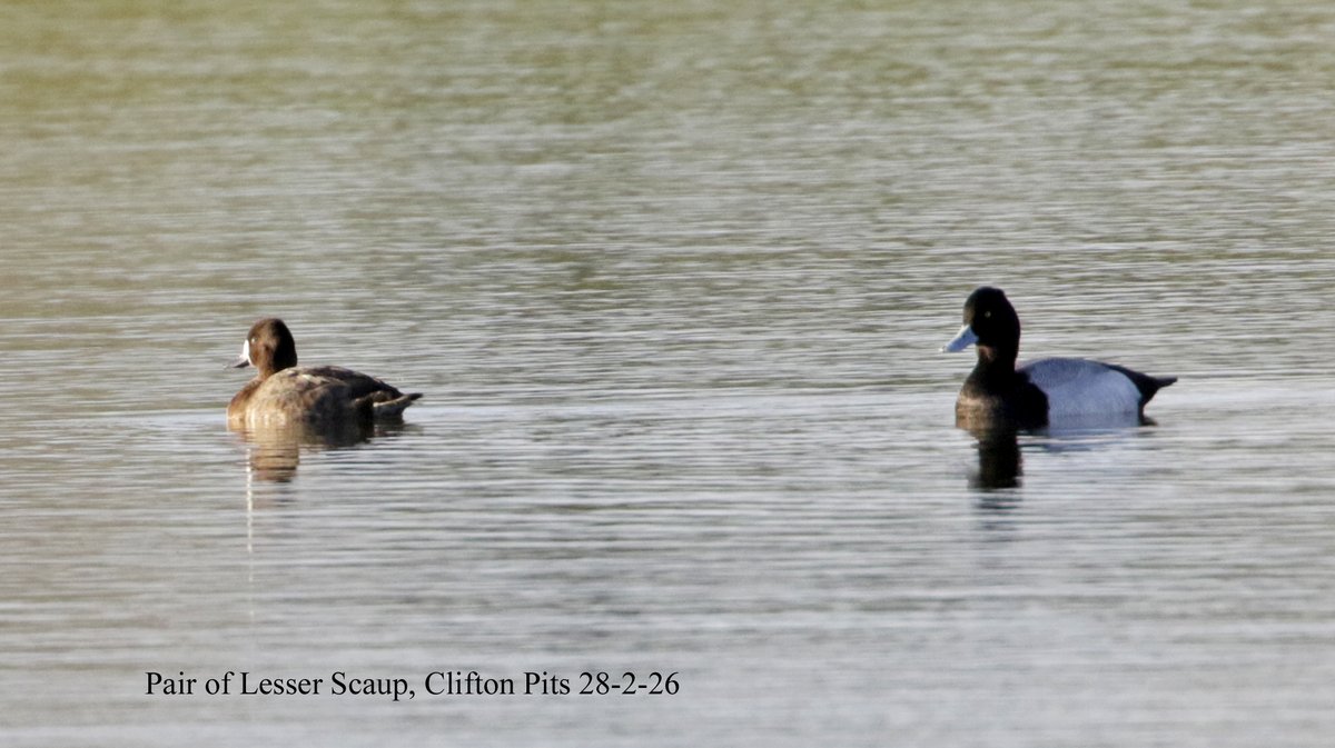 Andy Warr tweet media