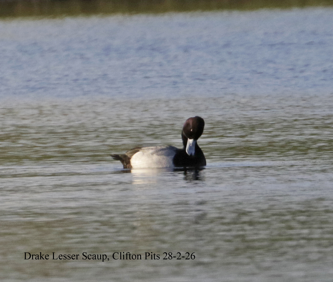 Andy Warr tweet media