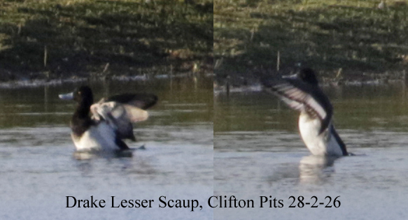 Andy Warr tweet media