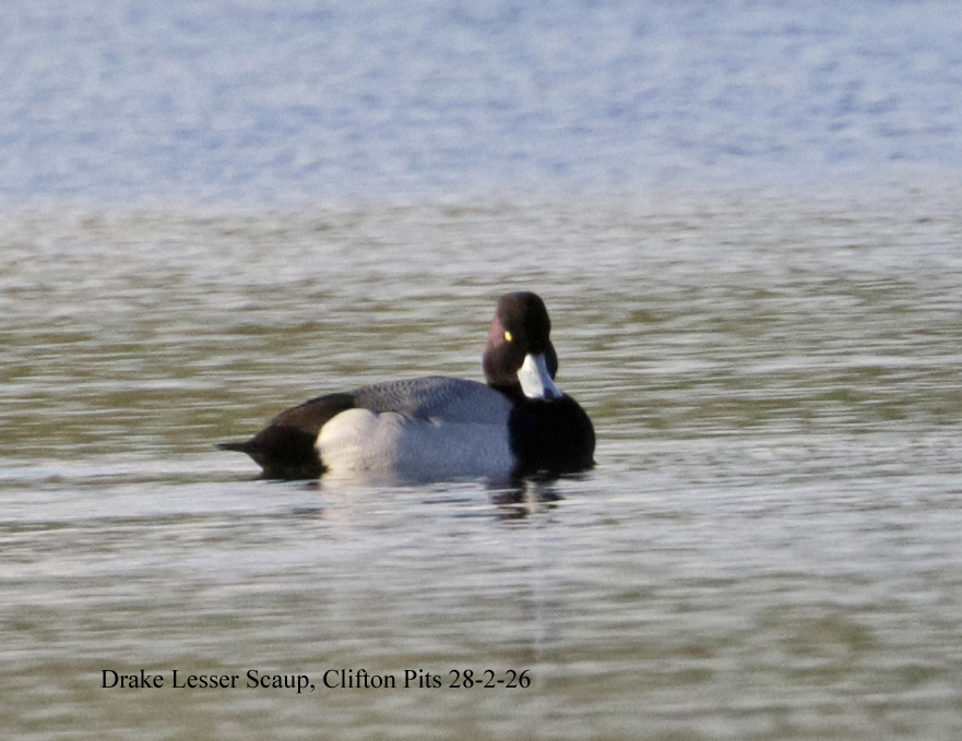 Andy Warr tweet media