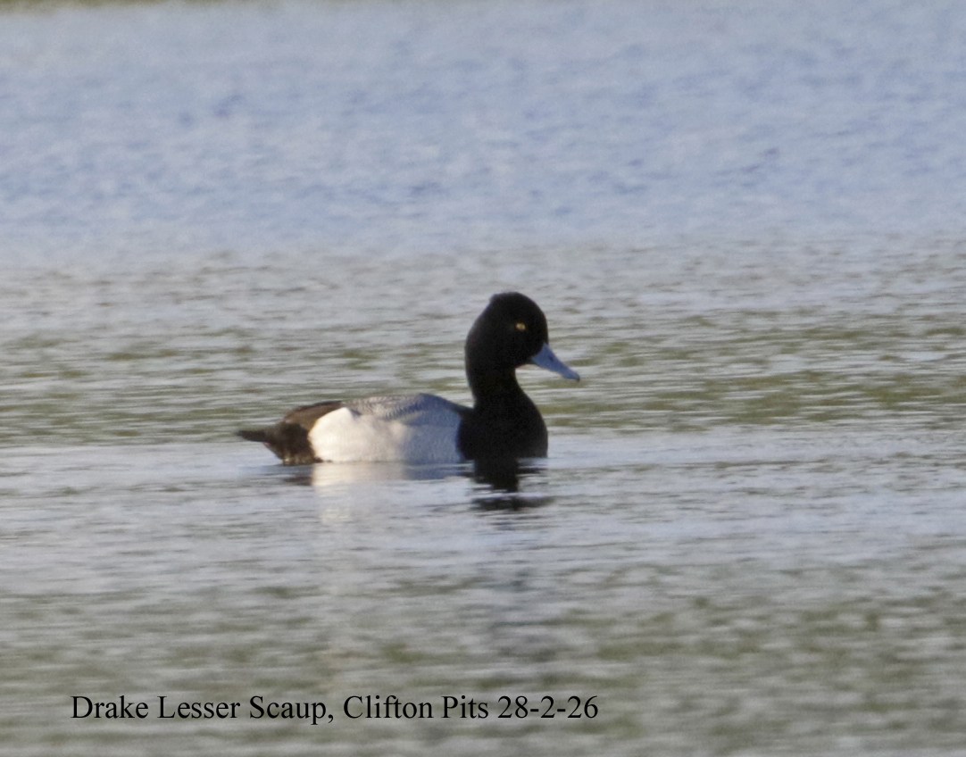 Andy Warr tweet media