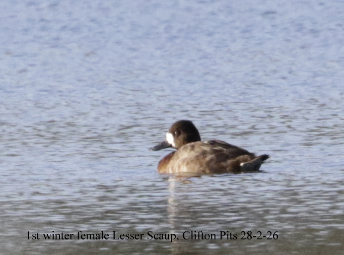 Andy Warr tweet media