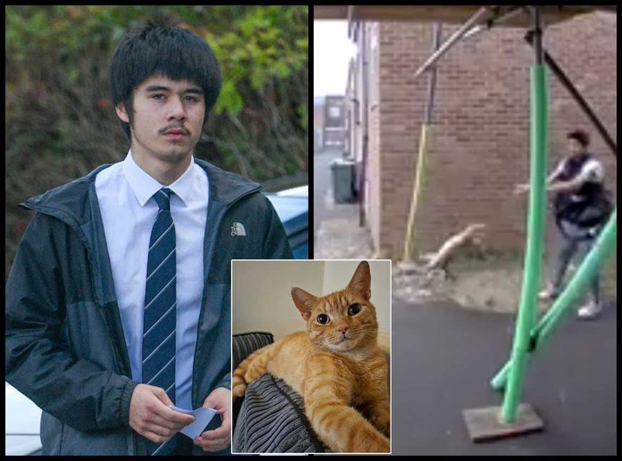 Yet another non-custodial sentence for an animal abusing thug! That is NOT a deterrent!!😡

Evil teen HENRY NEWEY, 18, from BASINGSTOKE, Hampshire, was charged following the incident, caught on camera, in which a terror-stricken cat with string tied around his neck was shown