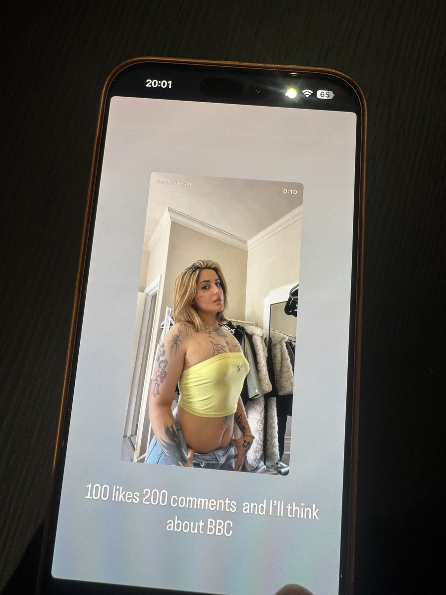 ThepersianCat tweet media