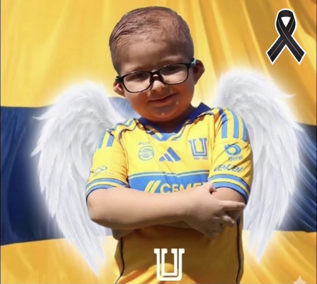 André ya perdió la batalla contra el cáncer, vuela alto MI PEQUEÑO TIGRE, es hijo de una amiga. Les agradezco su solidaridad y corazón al ofrecerme su ayuda, necesitan para los gastos funerarios. <a href="/TigresOficial/">Club Tigres 🐯</a> <a href="/10APG/">Gignac Andre-pierre</a> <a href="/PatonGuzman/">Nahuel.I.Guzman</a>
4152313973663706 BBVA