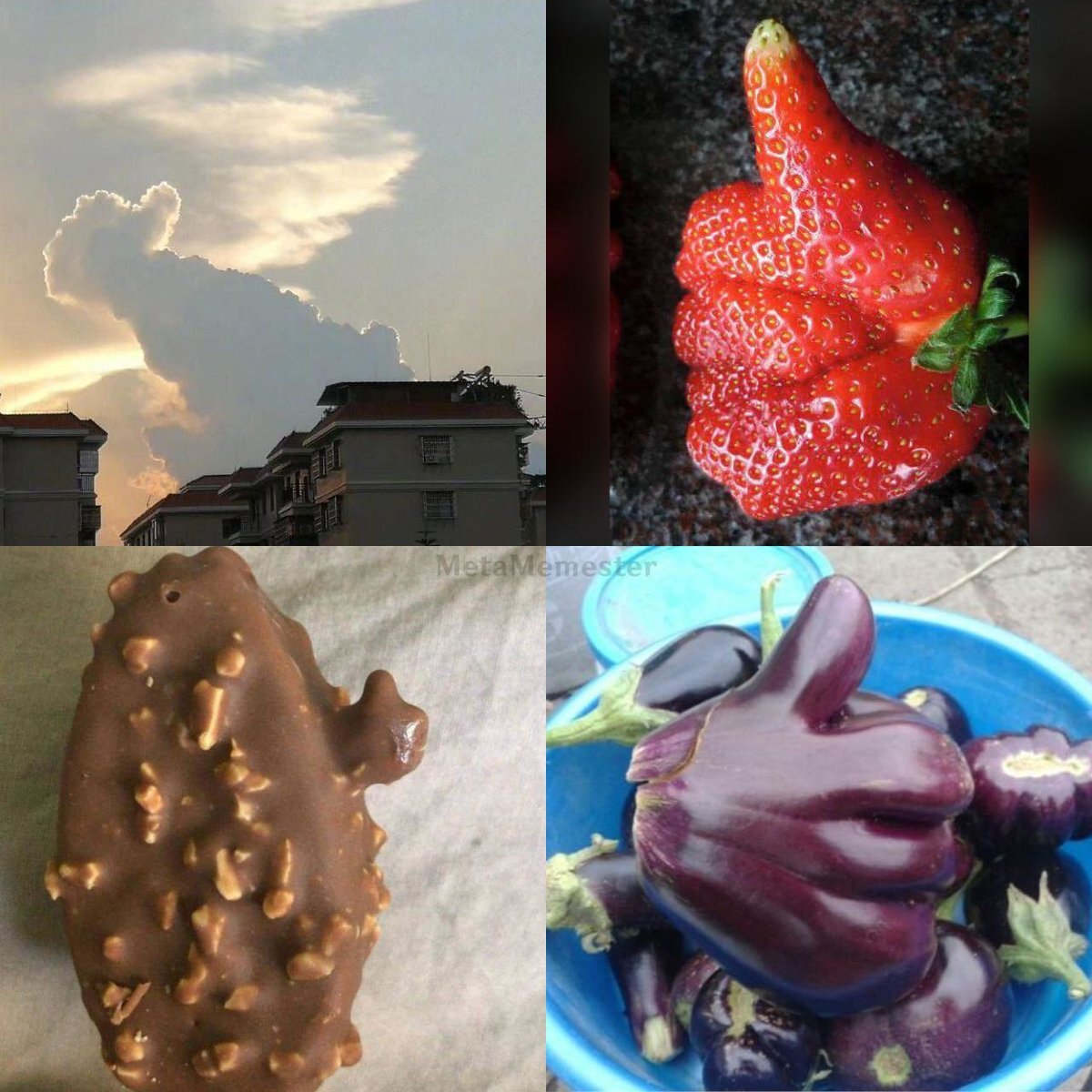 MetaMemester tweet media