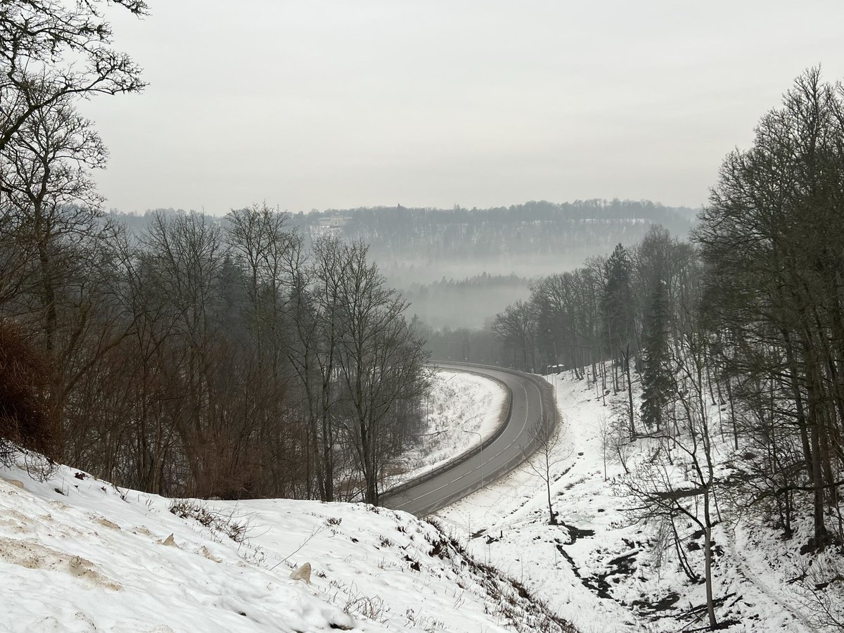 MMeistere's tweet photo. Siguldā miglaini #sniegs #migla https://t.co/H7Ro4N7aj3