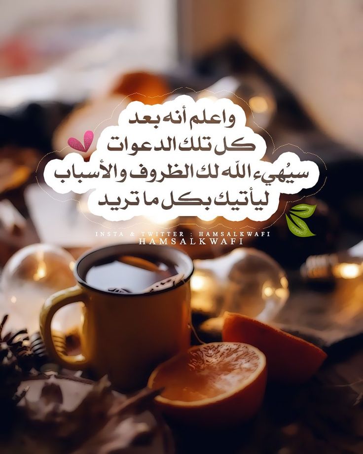 زيد علي (@zydly8232432338) on Twitter photo 