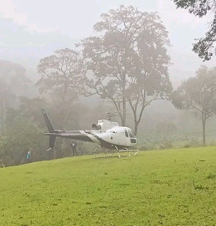 Global Intelligence tweet media