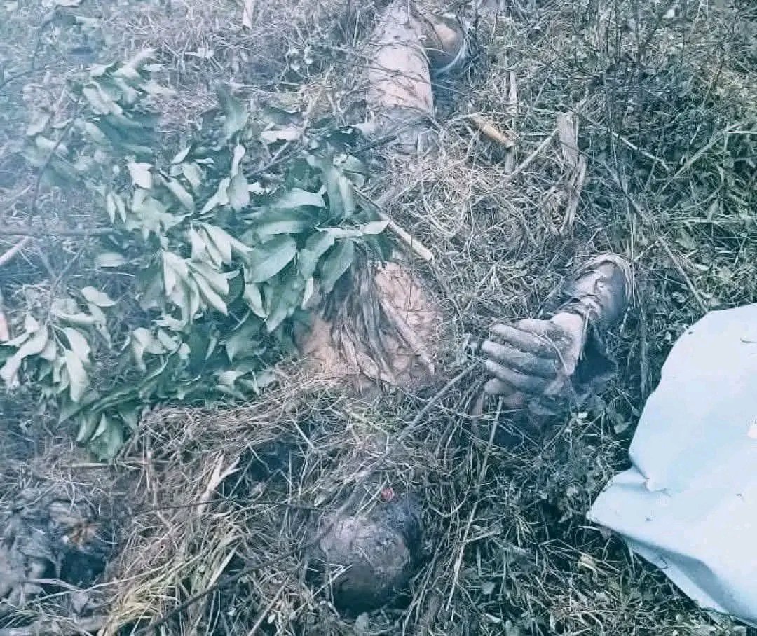 Global Intelligence tweet media