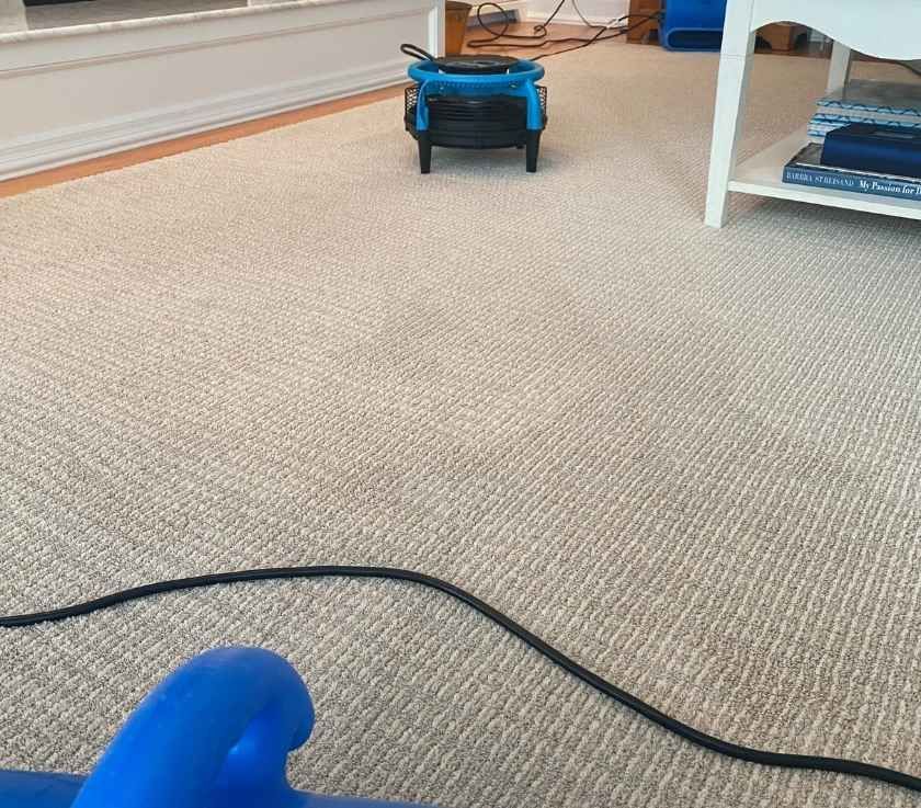 Pure Surface Care tweet media