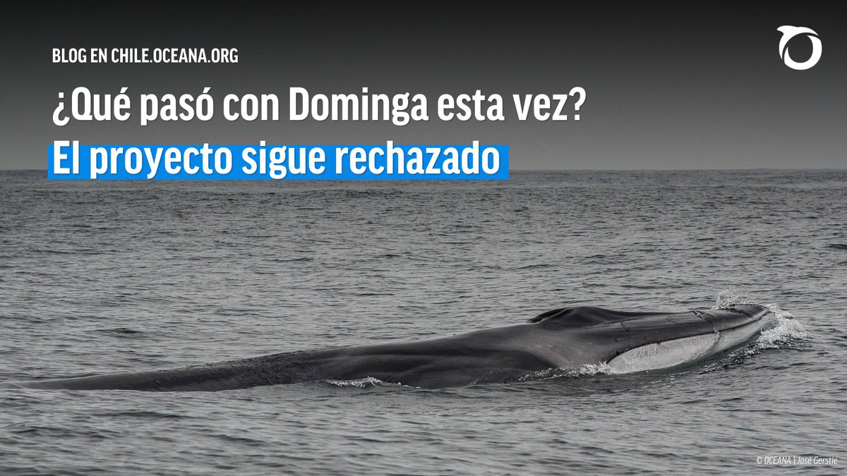 Oceana en Chile tweet media