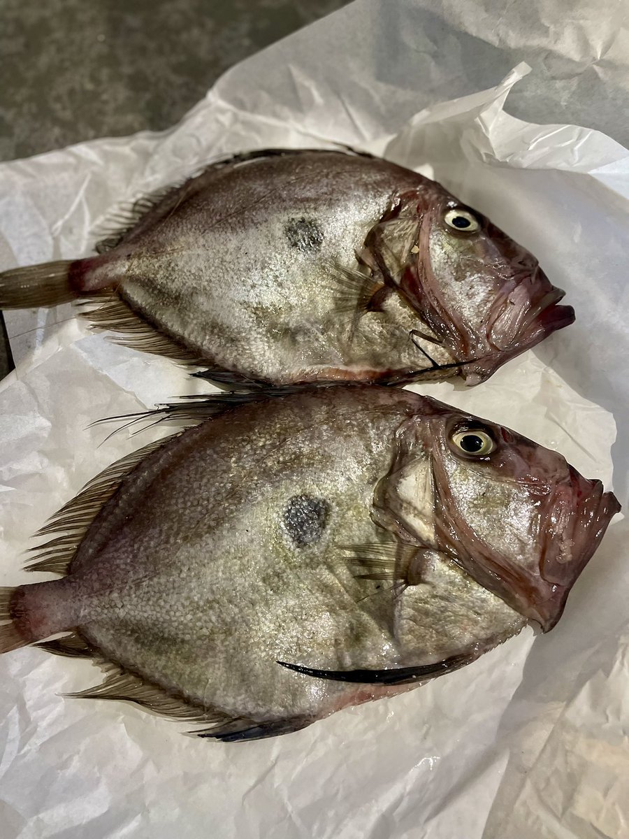 moore on the quay tweet media