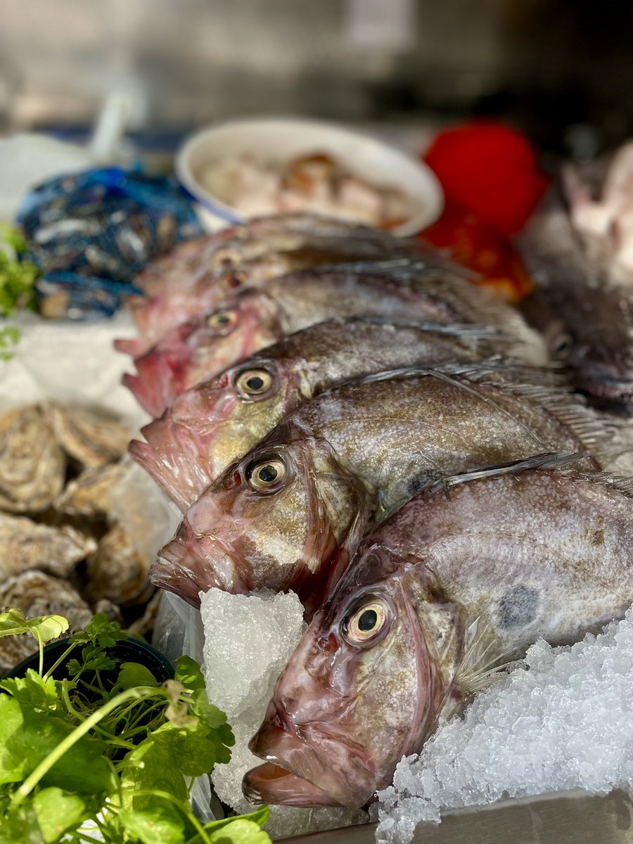 moore on the quay tweet media