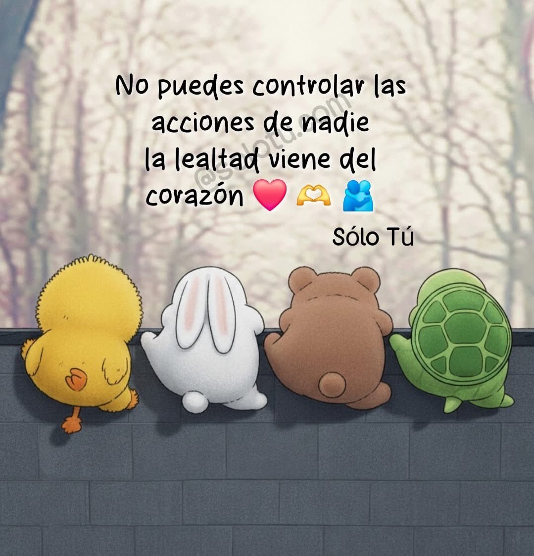 Pensamientos (@frasesimple) on Twitter photo 