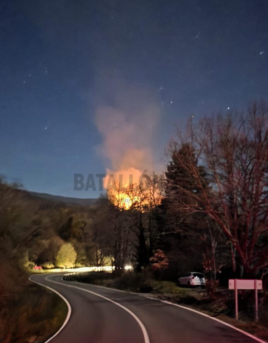 Batallón T-15 tweet media