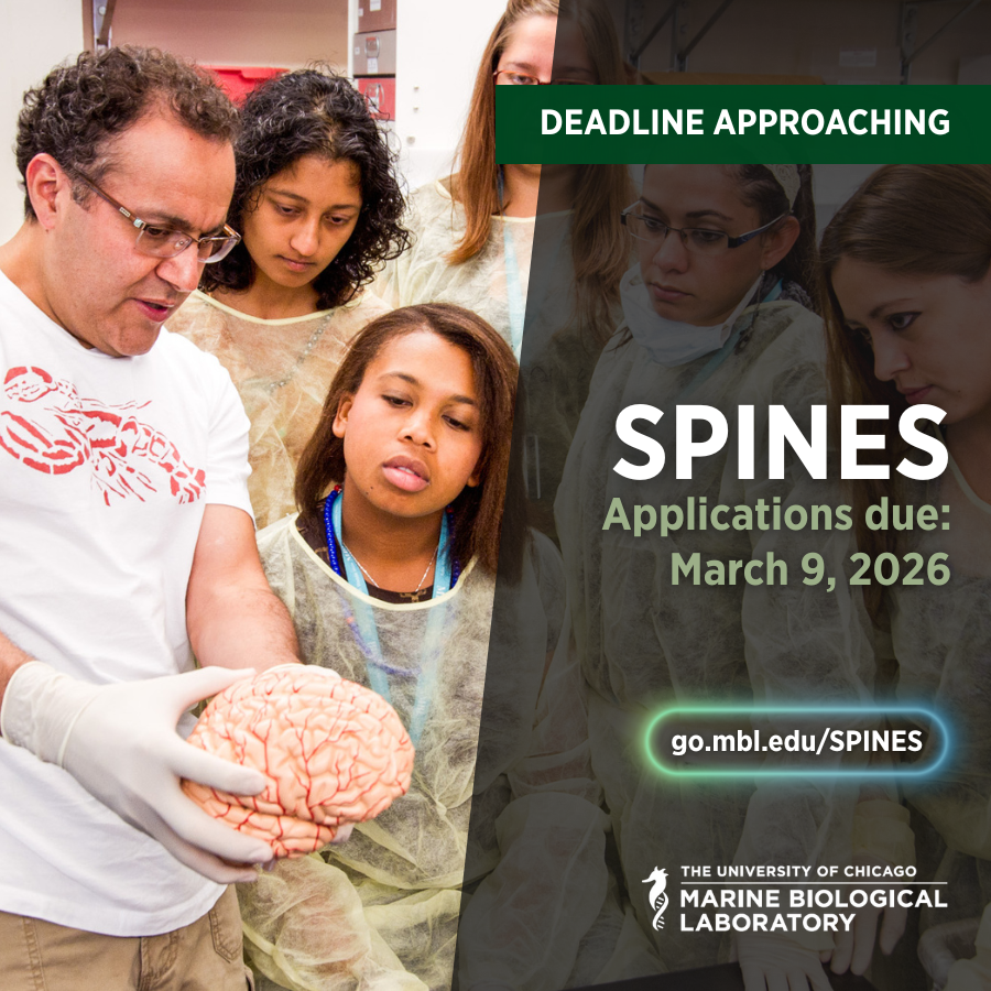 Marine Biological Laboratory (MBL) tweet media