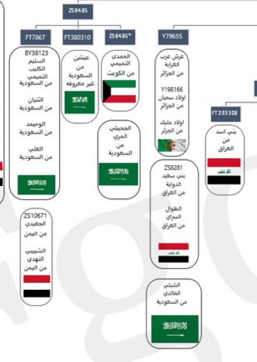 عامتهم من هوازن وبهم أصرام من تميم وأسد 

يتشتون الدهناء ويتربعون الصمان ويقيضون الستارين وهذا نمط بادية سعد تميم 

هذا التداخل لم يتحقق إلا في التحور التميمي fgc8812 

خطوط تميميه وهوازنيه ومن هلال وسبيع و خطوط أسديه 

fgc8812 سعد تميم