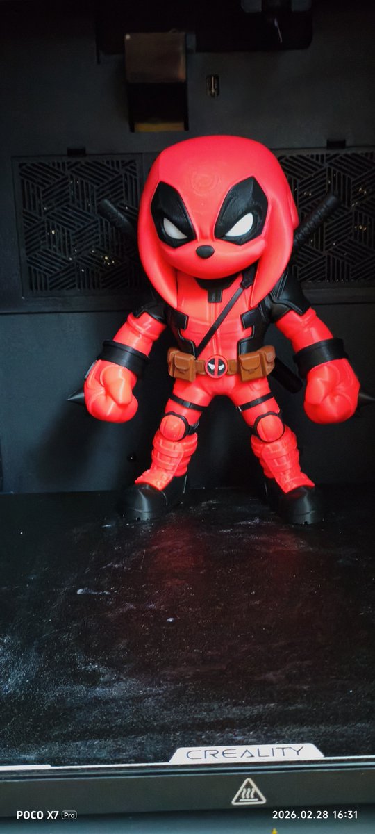 sandy strachan tweet media