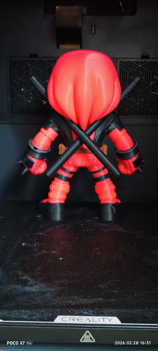 sandy strachan tweet media