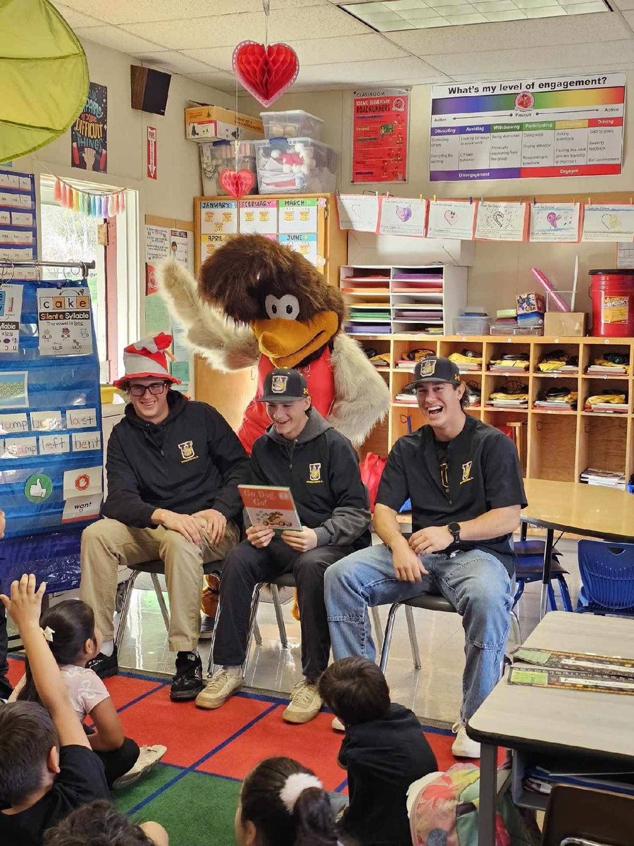 Beau David tweet media